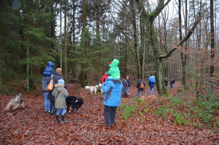 Wandertag 2016 - 108.jpg